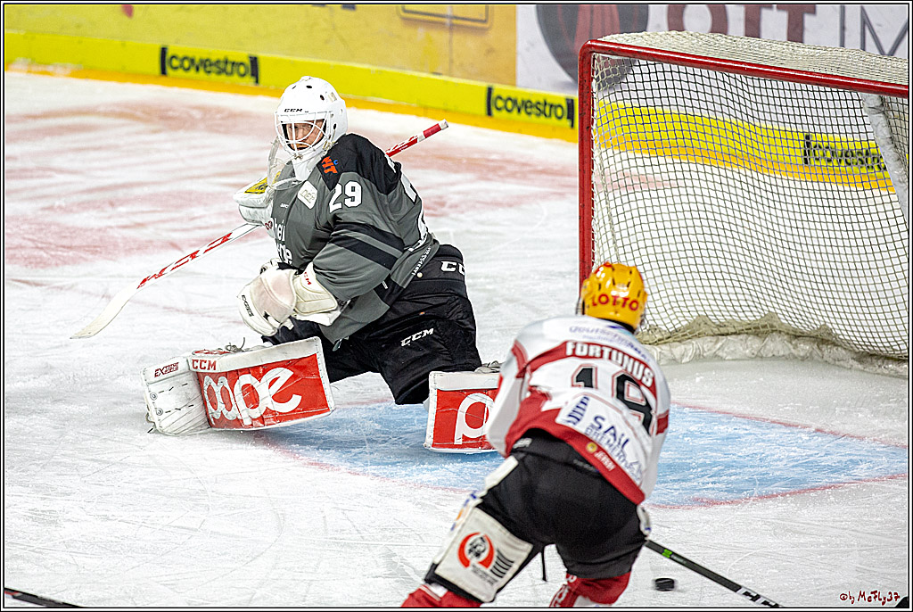 DEL; Koelner Haie - Fischtown Pinguins Bremerhaven, 06.01.2019
